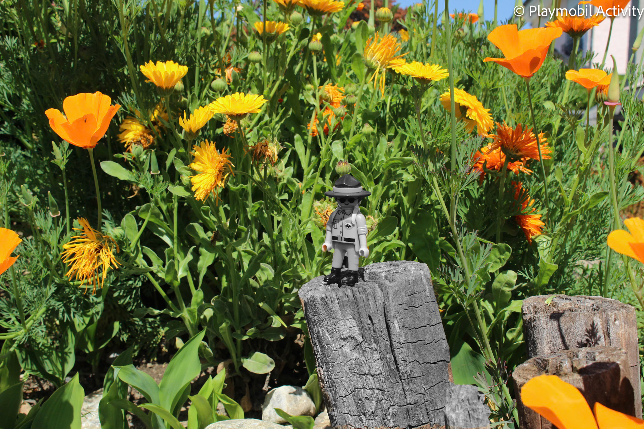 Une loi, une pétition… et pas de démocratie