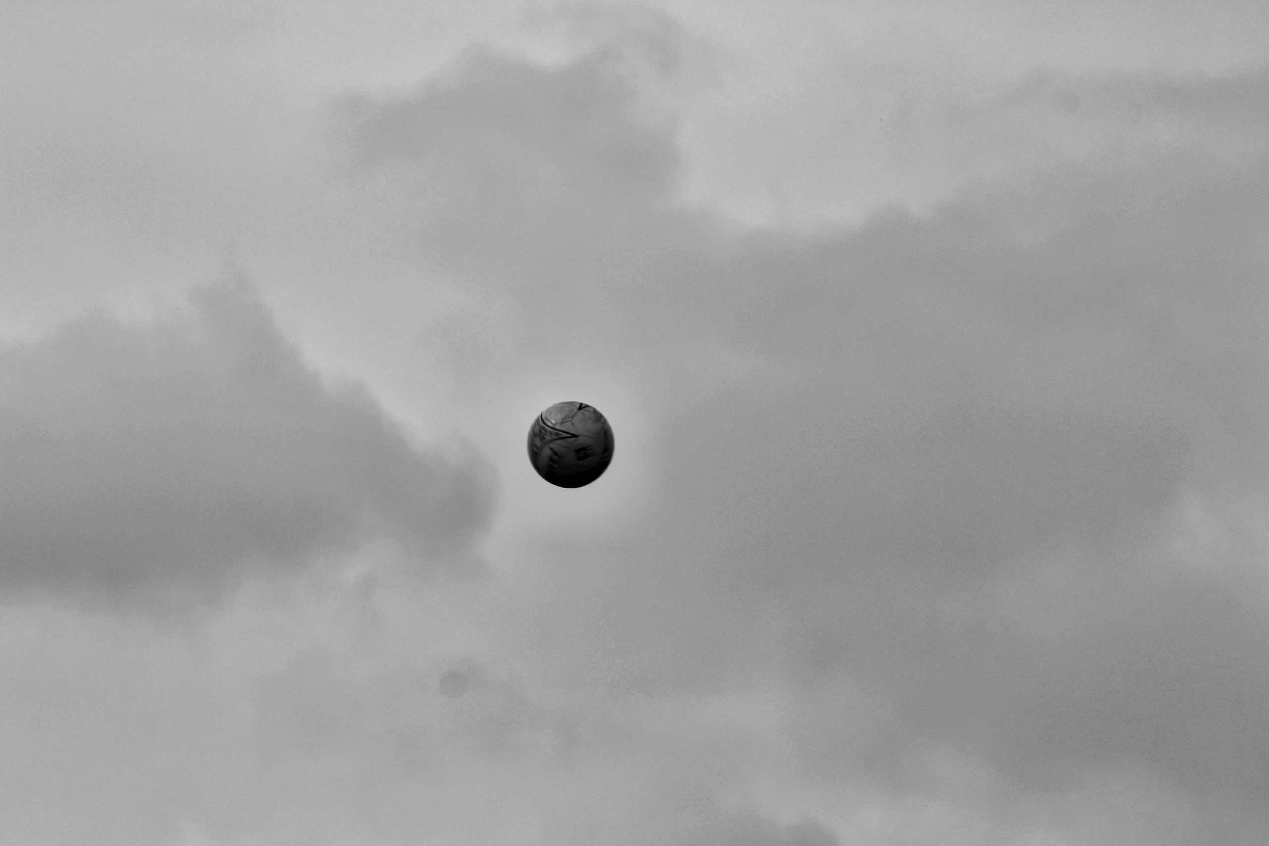 Face à Trump, le courage a déserté les États